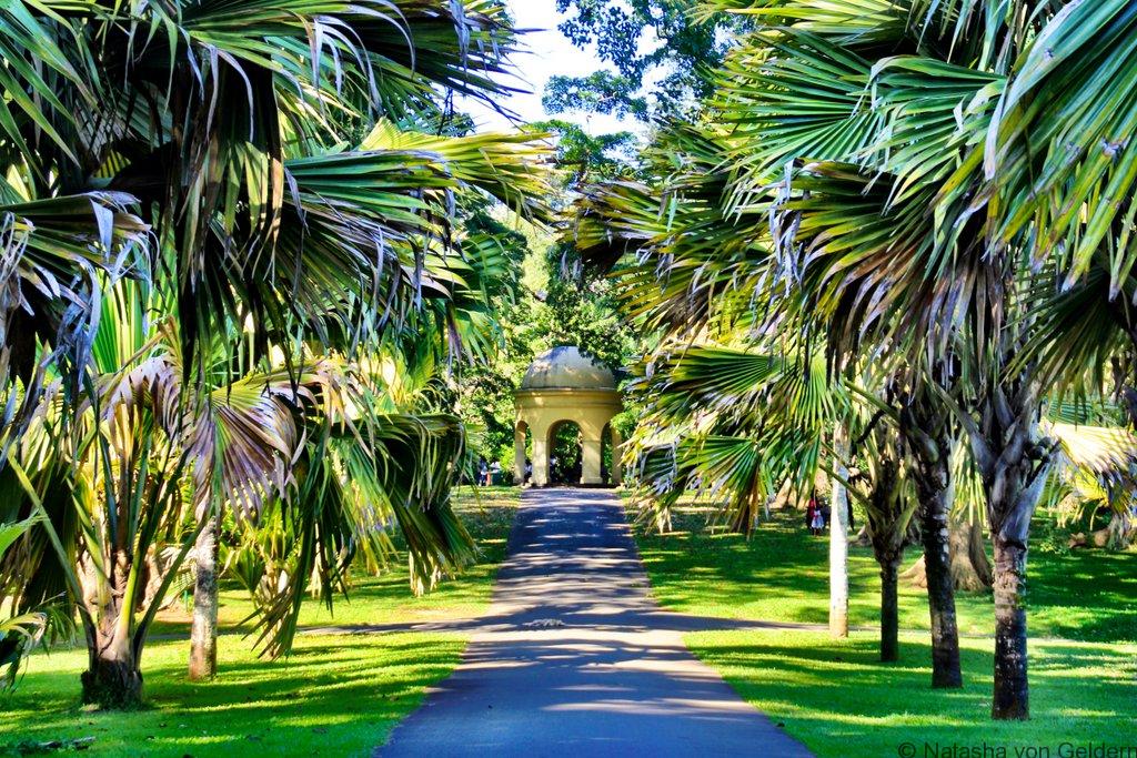 Image result for kandy royal botanical garden